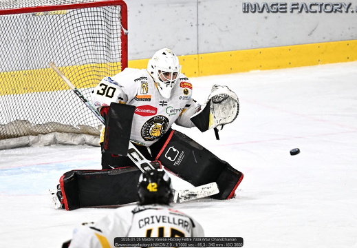 2025-01-25 Mastini Varese-Hockey Feltre (1-6)